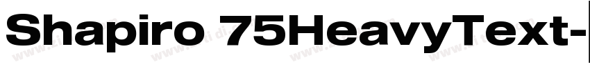 Shapiro 75HeavyText字体转换 Shapiro 75HeavyText字体转换